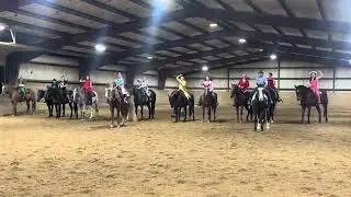 We had a fun Halloween party at nova quarter horses