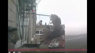 LIVE Great Yarmouth, Norfolk. Wild window birdcam & Weather