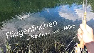 Fliegenfischen in der 