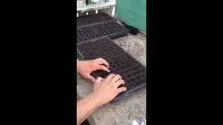 KSU Small Farm Grant - Vacuum Seeder