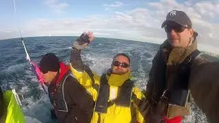 RTIR 2013   HD 1080p