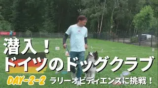 【ドイツの犬文化】ドイツのドッグクラブに潜入！犬が社会に溶け込む理由とは？