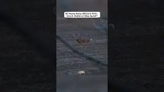 Big Buck out of range, what do you do? #DiscoverON #GoHuntinNorthernOntario #hunting #questions