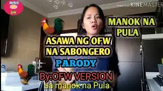 MANOK NA PULA | ASAWA NG OFW NA SABONGERO | PARODY | OFW VERSION