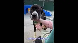 NICK | KILLED BY NYC ACC | APR 2024