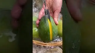 Farm Fresh Fruit Cutting Skill - Oddly satisfying video (Amazing fruit) 🍉🍑🍓 #Shorts #454