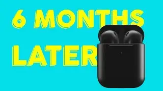 BlackPods 6 months later (WripWraps South Africa)