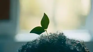 Plantasy | A Surreal Short Film