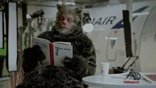The Icelandic Yule Cat's Roast of Art | Icelandair