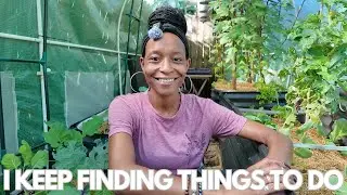 Greenhouse Hangout | Direct Sowing Peas and Starting Lettuce Seeds | Keeping Gardening Light