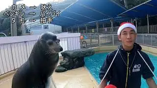 【アシカ】物体識別トレーニング？？