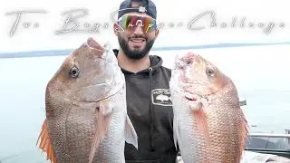 Bringing Back Australia's GREATEST FISHING COMP! - Two Bays SNAPPER Challenge