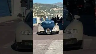 Bugatti Veyron Duo, Veyron 16.4 и Grand Sport Sang Blanc.