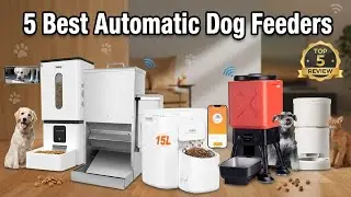 ✅ Top 5 Best Automatic Dog Feeders 2026 (Buying Guide)