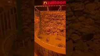 Javidaa🌟 #shorts #trending #viralvideo #indiansong #shortvideo #viralvideo #viralshorts #viral #car