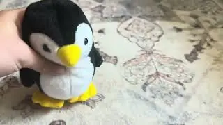 Testing, Setup, Usage, and Review of Yuhung Walking and Repeating Penguin