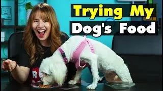 Dog Owners Try Their Dog's Food For The First Time | People Vs. Food