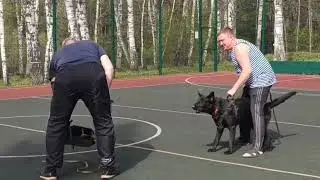 Вигдис из Мира Енали 10 месяцев