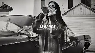 12 Bande (Slowed + Reverb) - Varinder Brar | WIZARDO NATION