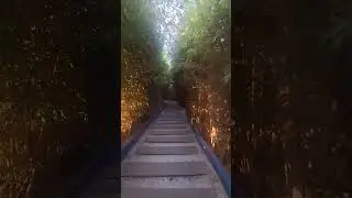 BIG THERMAL.RESORT SPA otele geldik. Neşet ERTAŞ bahcesi ile karsilastik.