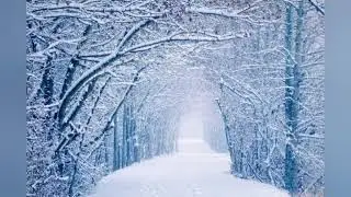 Wait There (이루마) - 최나경님 버전 Flute
