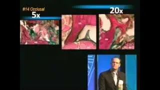 BioSurgery by Dr E Todd Scheyer