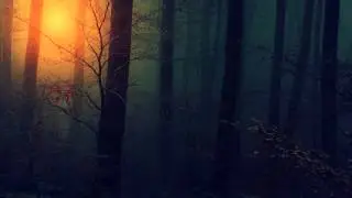 Krimma - In The Shit (1440p)