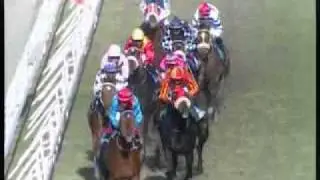 War Of Conquest - R.Joorawon - Mohammad Moorad Keerpah - Free Horse Racing Tips