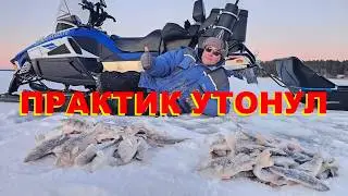 УТОПИЛИ ЭХОЛОТ И НАЛОВИЛИ ОКУНЕЙ.