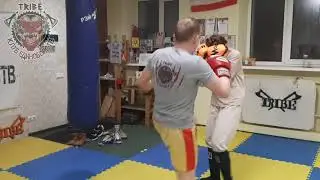 Тайский Бокс в Жуковском (TRIBE клуб единоборств)