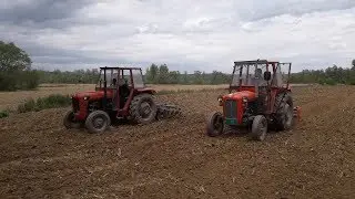Žurba! Tanjiranje pa freziranje, Marko i Ivan.