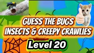 L20 Name or Guess the Bugs Insects & Creepy Clawlies 🐞🕷️🦋Level 20