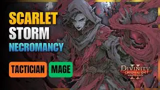 The Best Build in Divinity Original Sin 2 | Tactician