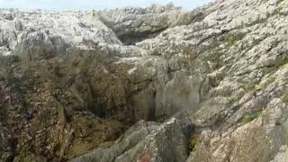 buf&oacute;n cobijero