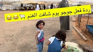 سحاب وجوجو بسوق الغنم 🐑😍😂 #سحاب #الجوهرة #عيد_الاضحى