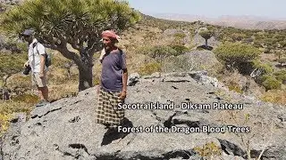 Socotra Island - Episode 3: Nur, the Goat Herder of Diksam Plateau