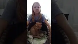 😍 1 Days After Birth  Meowing Kittens  ASMR teddykitens #kittens #kitten