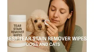 🐾 Лучшие салфетки для удаления пятен от слёз у собак и кошек | Очищающие салфетки для пальцев Dr....