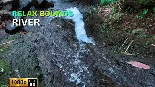 Calm River Flow Sound 🌊 Natural Water Ambience for Sleep, Study, Meditation