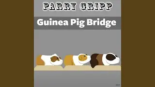 Guinea Pig Bridge