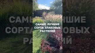 Полное видео в ТГ канале