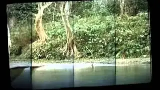 Nat Geo Adventure HD