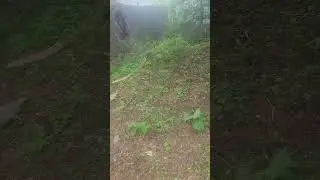 Karen neighbor trespassing