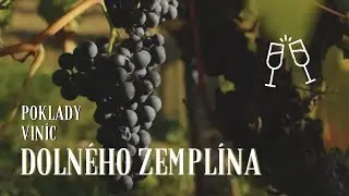 DOLNÝ ZEMPLÍN - Chuť a vôňa vína