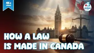 How a Law is Made in Canada | Explained for Students Step-by-Step! | Social Studies Lesson