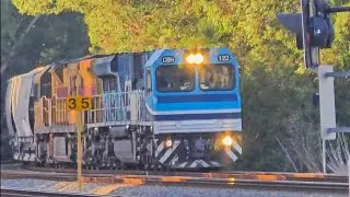 CBH ARG Grain Train With New Grain Hoppers #railway #trainspotting #railfanning #trainspotter #rail 