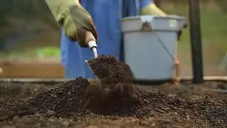 How To Nourish Your Garden with a Mill Food Recycler