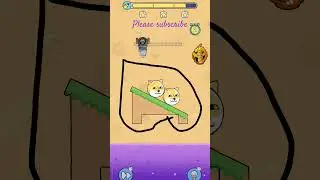 Dog#recuse#very#nice#game#shortvideo