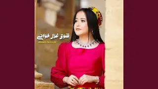 شوقِ غزل خوانی || ZEBA NOORI NEW HAZARAGI SONG ||