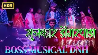Boss Dj Musical DNH Full Setup Riyan Light Show 🔥 Radhu Bhai Aadiwasi &hearts;️ 